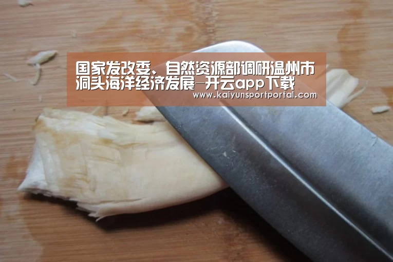 国家发改委、自然资源部调研温州市洞头海洋经济发展-开云app下载(图3) 开云app官方下载