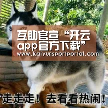 互助官宣“开云app官方下载”(图3) 开云app下载