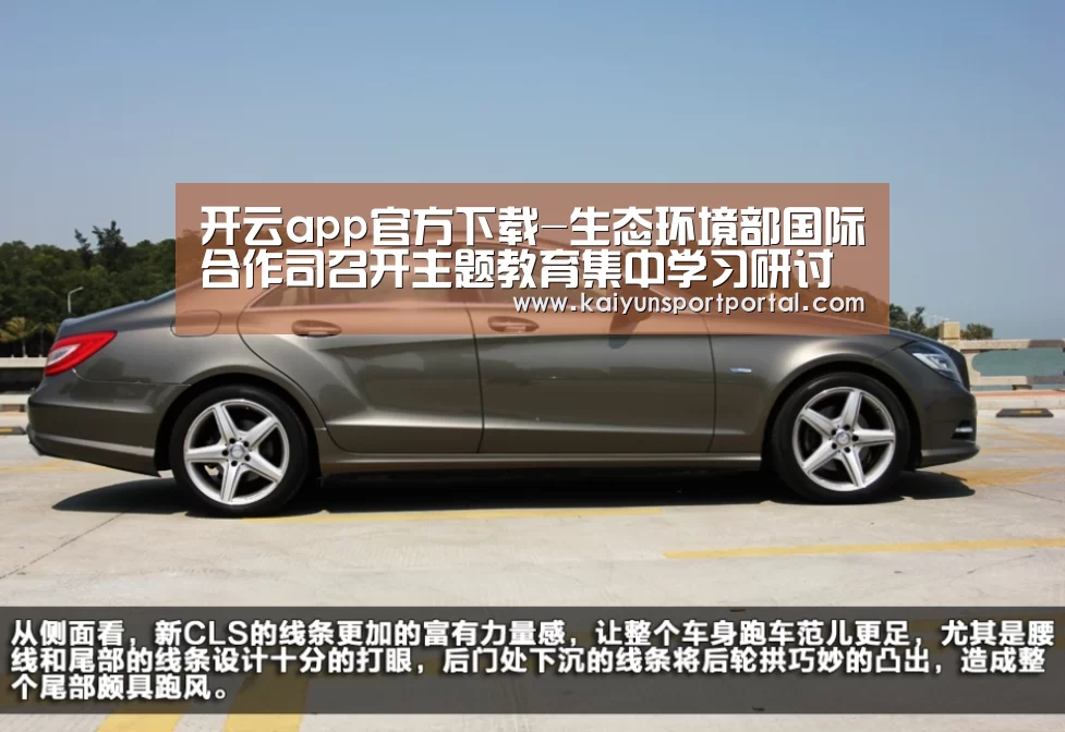 开云app官方下载