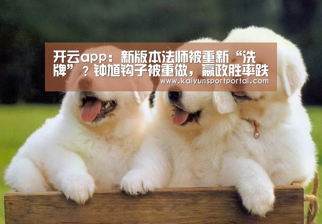 开云app下载