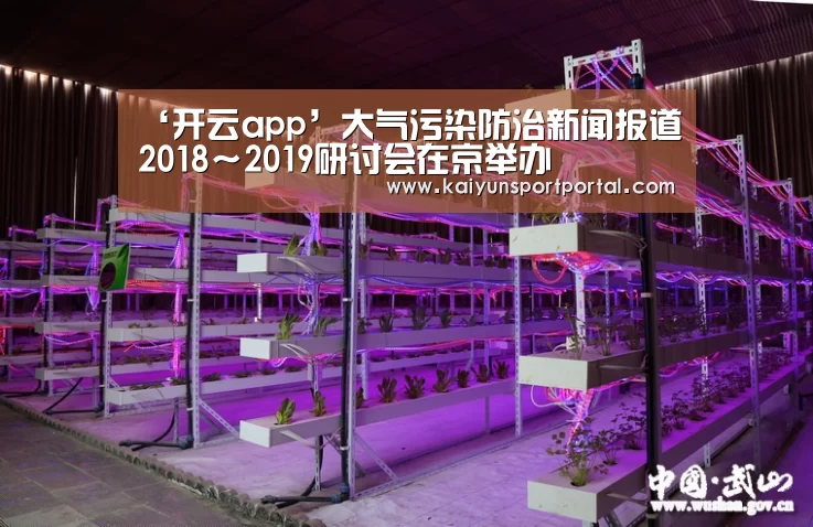 开云app官方下载