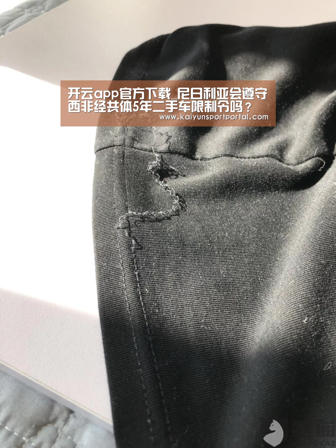 开云app官方下载_尼日利亚会遵守西非经共体5年二手车限制令吗?(图3) 开云app官方下载