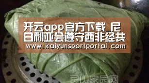 开云app官方下载_尼日利亚会遵守西非经共体5年二手车限制令吗?(图2) 开云app下载