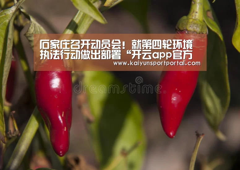 石家庄召开动员会!就第四轮环境执法行动做出部署“开云app官方下载”(图1) 开云app电脑版下载