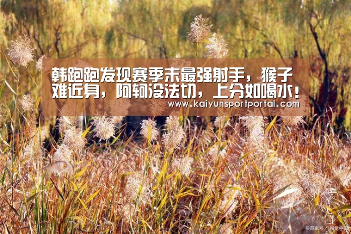 韩跑跑发现赛季末最强射手,猴子难近身,阿轲没法切,上分如喝水!【开云app下载】(图2) 开云app电脑版下载