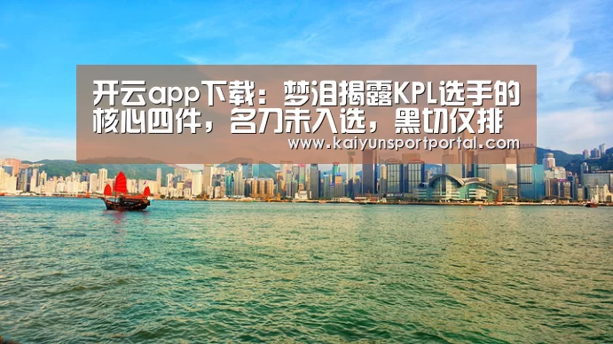 开云app下载