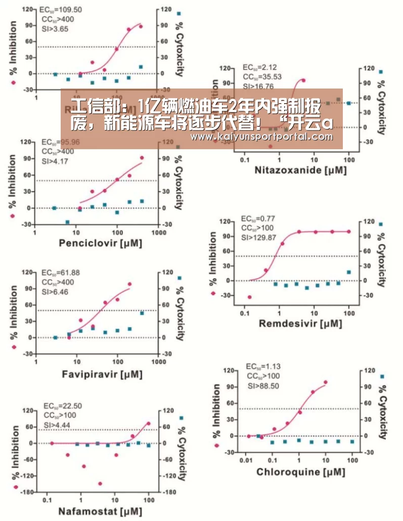 工信部:1亿辆燃油车2年内强制报废,新能源车将逐步代替!“开云app”(图1) 开云app电脑版下载