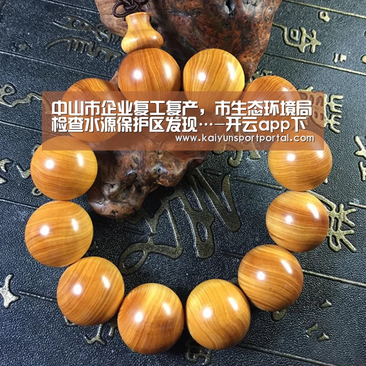 中山市企业复工复产,市生态环境局检查水源保护区发现…-开云app下载(图4) 开云app下载