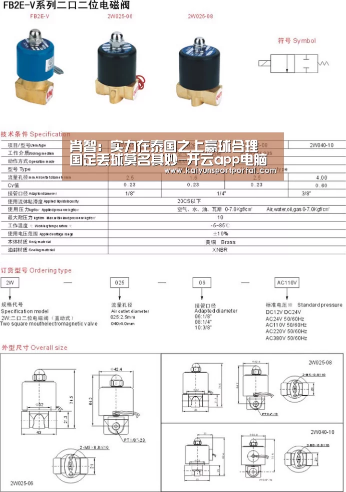 开云app电脑版下载