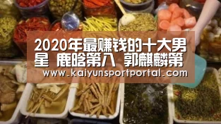 2020年最赚钱的十大男星 鹿晗第八 郭麒麟第二 第一名谁吗|开云app(图2) 开云app
