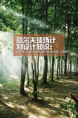 开云app
